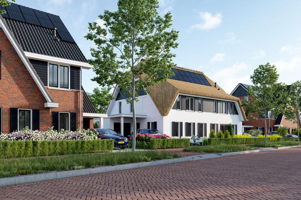 Haarzicht fase 2 1