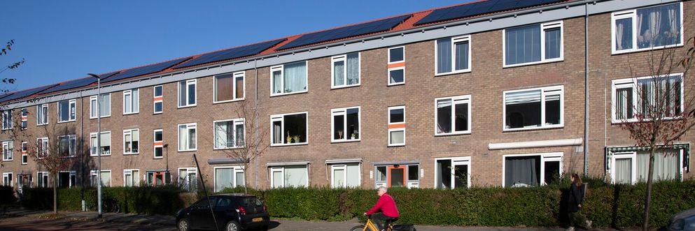 header eksterlaan Haarlem