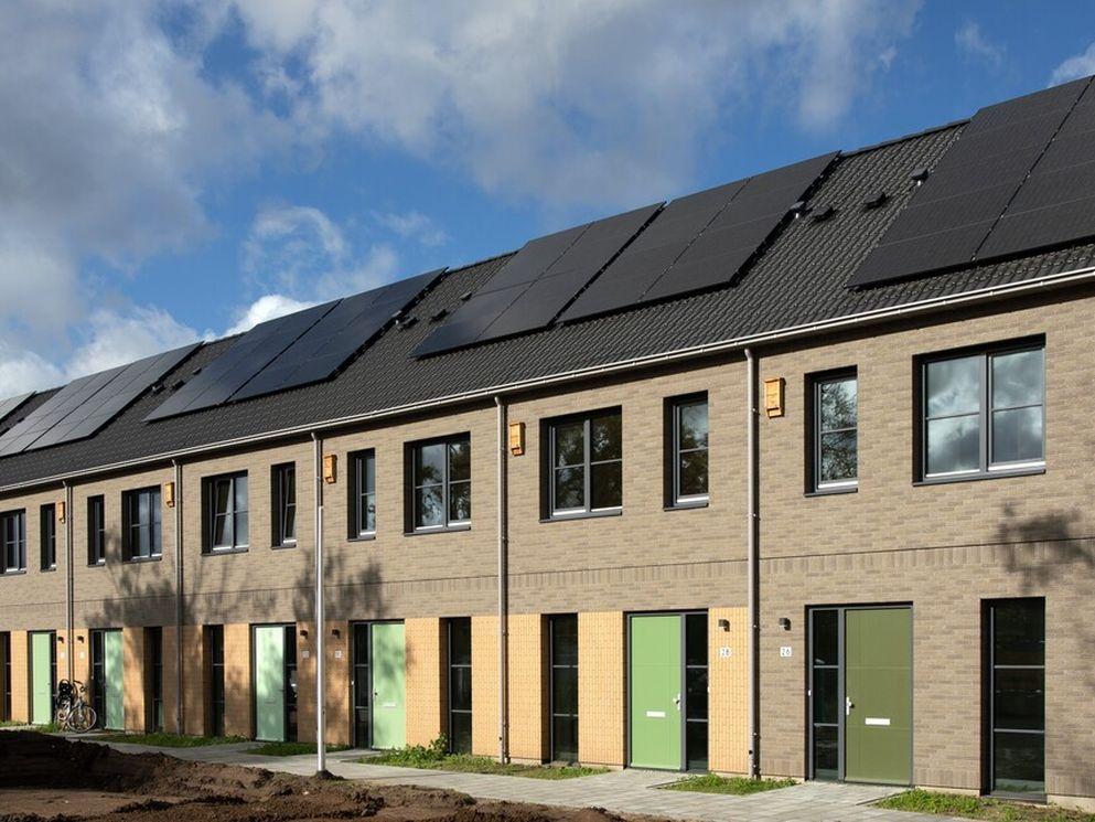 Wilde Wingerd Veenendaal