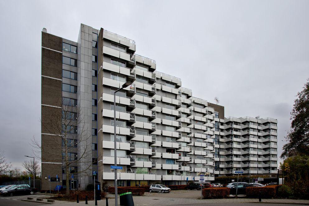 Lichtpunt Rotterdam