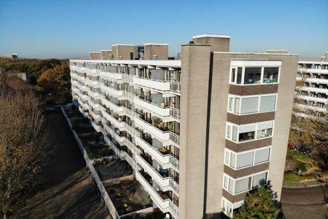 Waldeck Den Haag 2