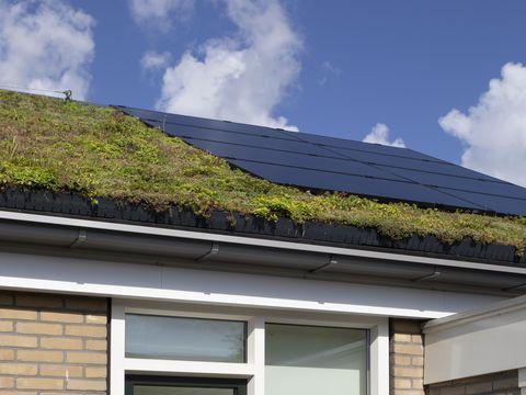 Steenwijk nul-op-de-meter Fits en EPV 2.0