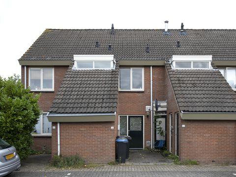 vlasleeuwenbek_purmerend_08