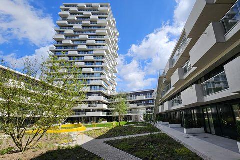 Imagine Rotterdam