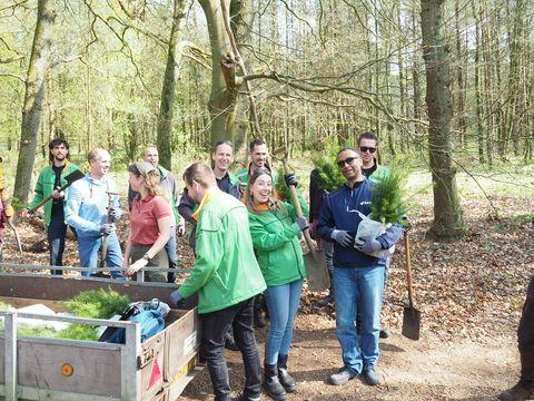BAM plant bomen