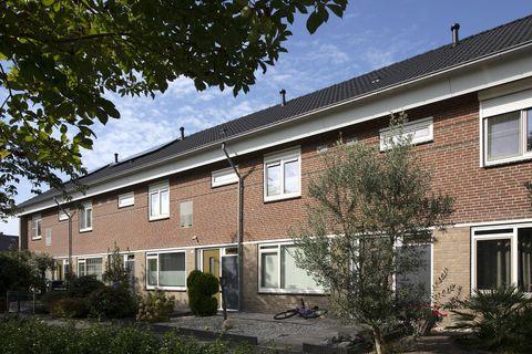 resultaat biobased dak Vaartbroek 2