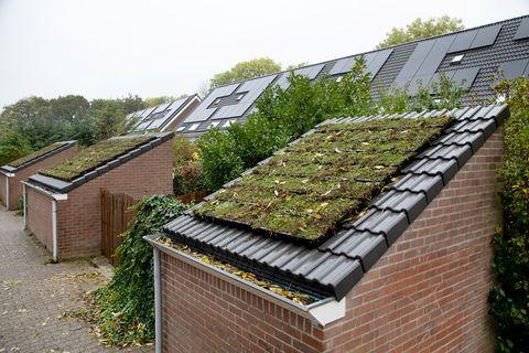 Verduurzaming Houten groen dak