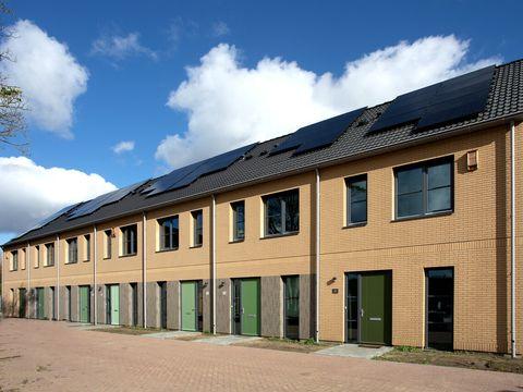 Wilde Wingerd Valkenswaard