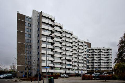 Lichtpunt Rotterdam