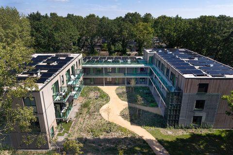 Frederik Hendrikstraat, Waalre